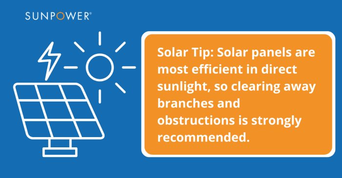 Solar tip: solar panels are most efficient in direct sunlight, so clearing away branches and obstructions is highly recommended